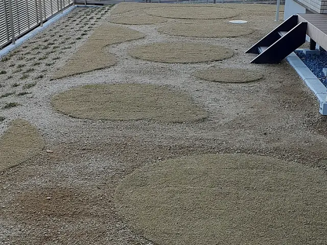 一級技能士がお力になります！経験と知識を活かして迅速丁寧に作業いたします！サービスの画像