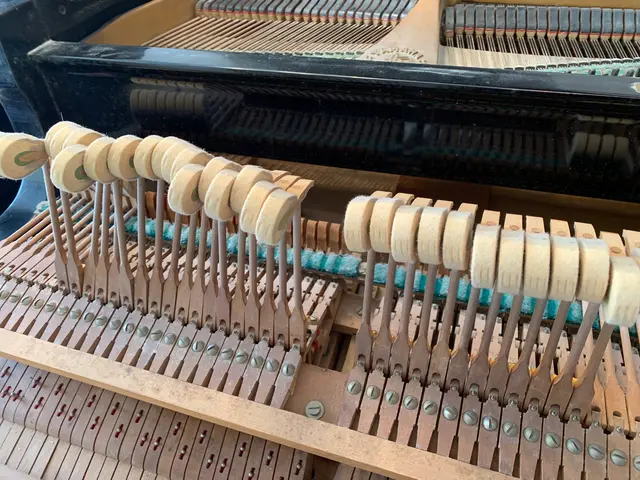 【一級ピアノ調律技能士】経験豊富な技術をご提供いたします。サービスの画像