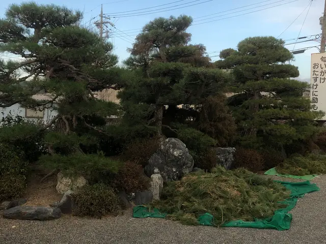 ＜業歴32年のベテランスタッフが出向＞京都府から伺います！駐車場代は当社負担◎サービスの画像