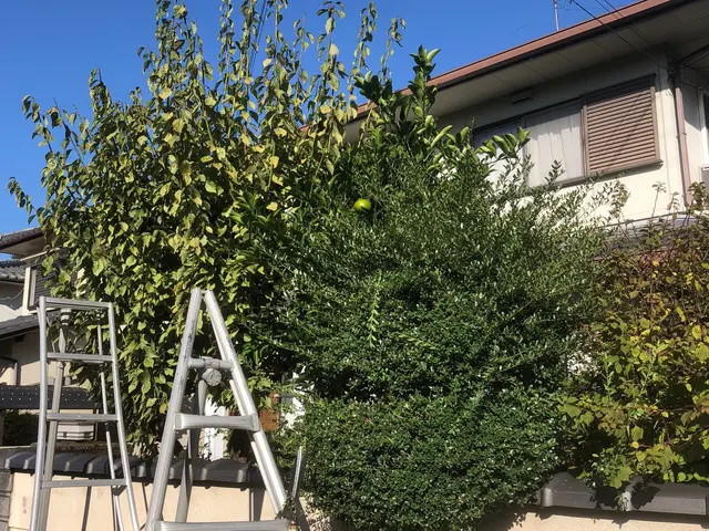 ＜業歴32年のベテランスタッフが出向＞京都府から伺います！駐車場代は当社負担◎サービスの画像