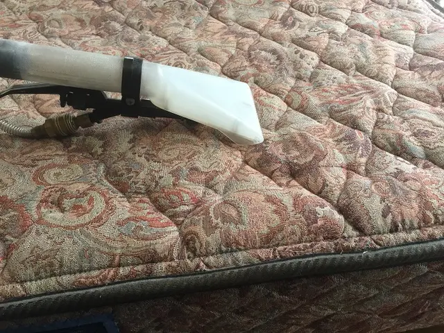 ★当社はソファ、マットレス専門洗浄業者。長年の汚れは専門業者にお任せください★サービスの画像