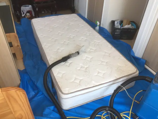 ★当社はソファ、マットレス専門洗浄業者。長年の汚れは専門業者にお任せください★サービスの画像