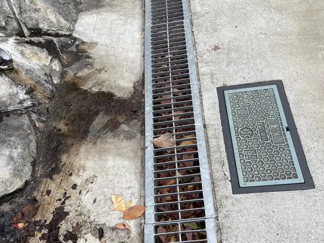 お庭や敷地の落葉掃除、清掃をさせていただきます！エリアは要相談ください！サービスの画像