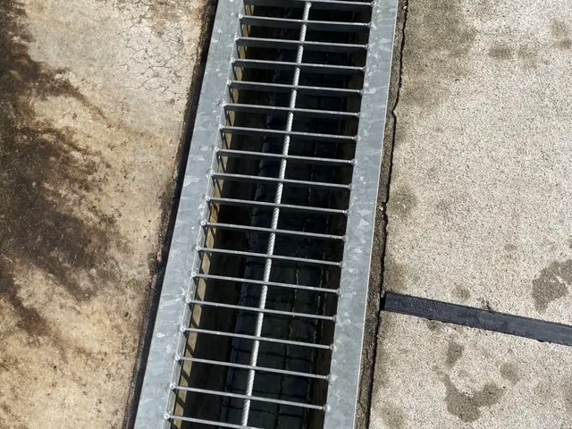 お庭や敷地の落葉掃除、清掃をさせていただきます！エリアは要相談ください！サービスの画像