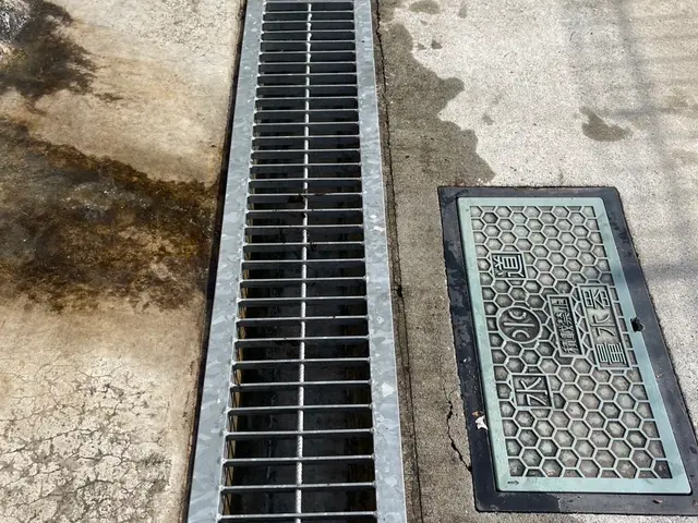 お庭や敷地の落葉掃除、清掃をさせていただきます！エリアは要相談ください！サービスの画像