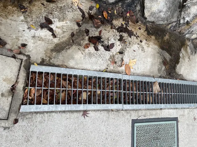 お庭や敷地の落葉掃除、清掃をさせていただきます！エリアは要相談ください！サービスの画像