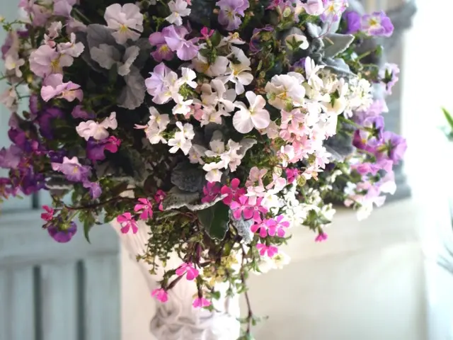 他とは違うワンランク上のお庭に！サービスの画像