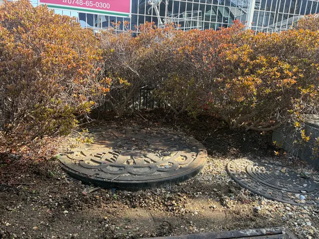 追加料金無し！大手不動産会社も信頼する丁寧・格安の手作業による草むしりサービスの画像