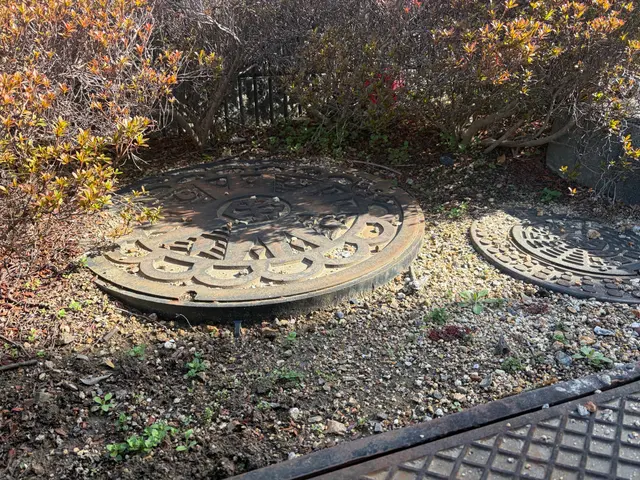 追加料金無し！大手不動産会社も信頼する丁寧・格安の手作業による草むしりサービスの画像