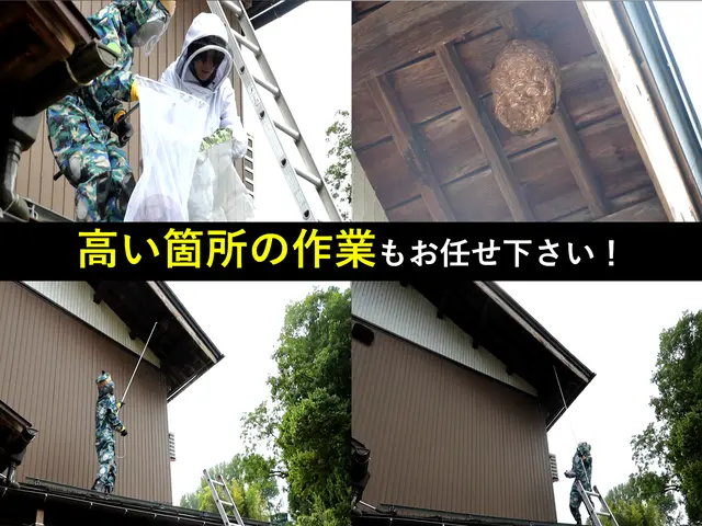 【最短即日対応!!】ハチの巣の駆除なら当店にお任せください!!サービスの画像