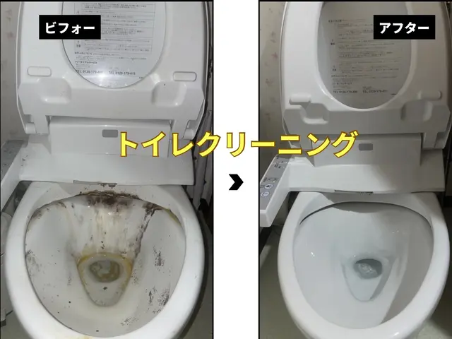 ★尿石・黒ずみ徹底洗浄★丁寧な作業で清潔で快適な空間に仕上げます！！サービスの画像