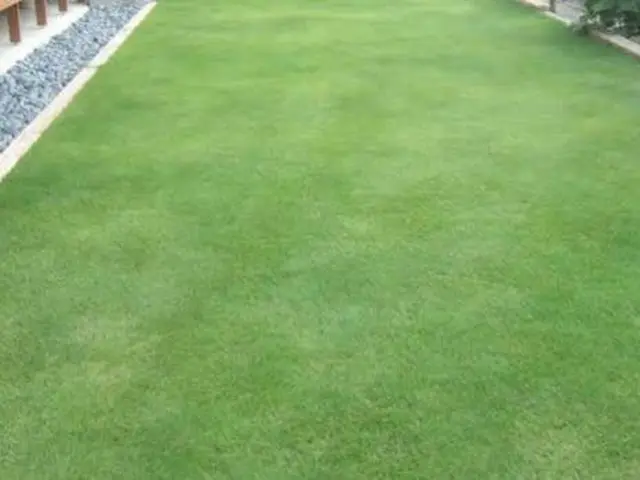 【三重県発】芝貼り　お客様のニーズにお応えして臨機応変に対応させて頂きます★サービスの画像