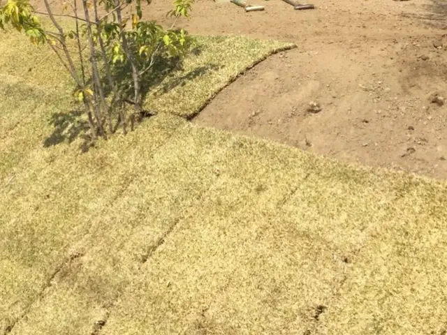 【三重県発】芝貼り　お客様のニーズにお応えして臨機応変に対応させて頂きます★サービスの画像