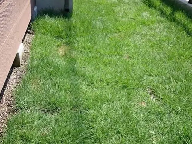 【三重県発】芝貼り　お客様のニーズにお応えして臨機応変に対応させて頂きます★サービスの画像