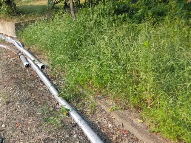 旅行などの時のお庭の植物への水やりはおまかせください。サービスの画像