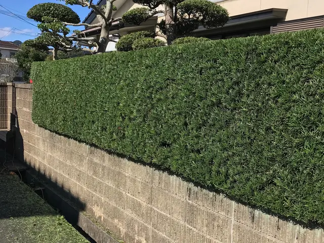 個人庭を中心に実務40年の一級造園施工管理士です。サービスの画像