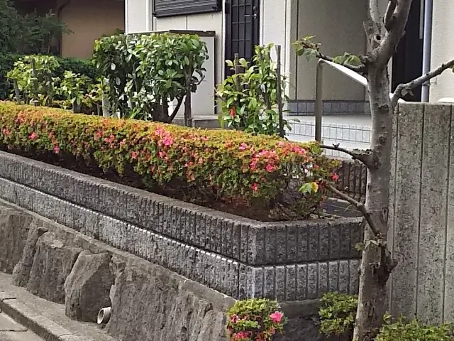 個人庭を中心に実務40年の一級造園施工管理士です。サービスの画像