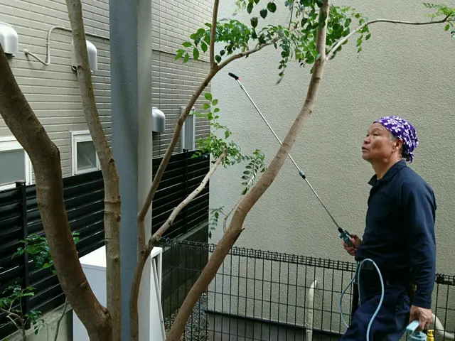 元、服飾デザイナー&東京都公園協会職員→自称【異色の庭師】がお庭の手入れをしますサービスの画像