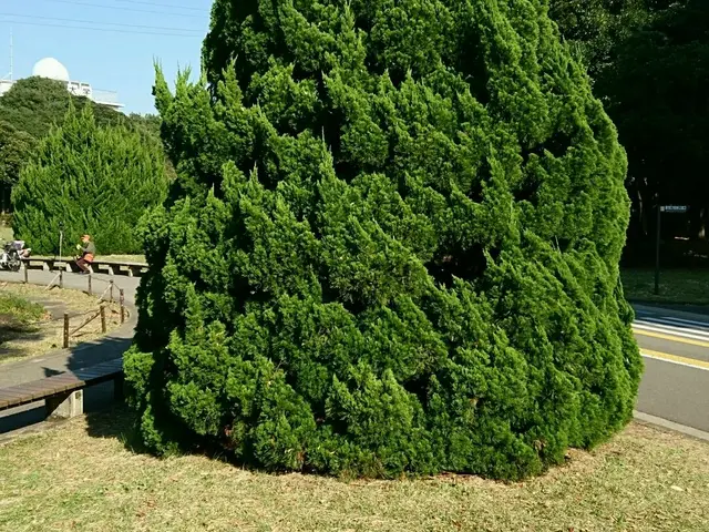 元、服飾デザイナー&東京都公園協会職員→自称【異色の庭師】がお庭の手入れをしますサービスの画像