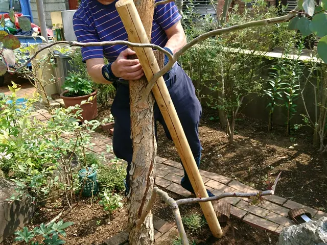 元、服飾デザイナー&東京都公園協会職員→自称【異色の庭師】がお庭の手入れをしますサービスの画像