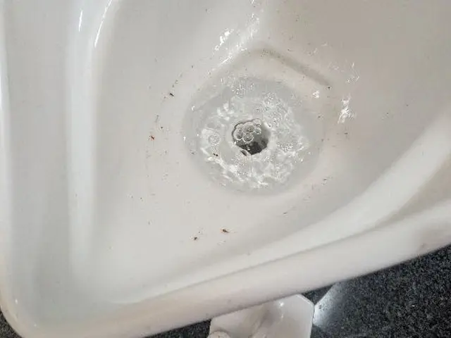 家庭内排水管内酵素洗浄(キッチン.洗面.浴室.洗濯配管内)サービスの画像