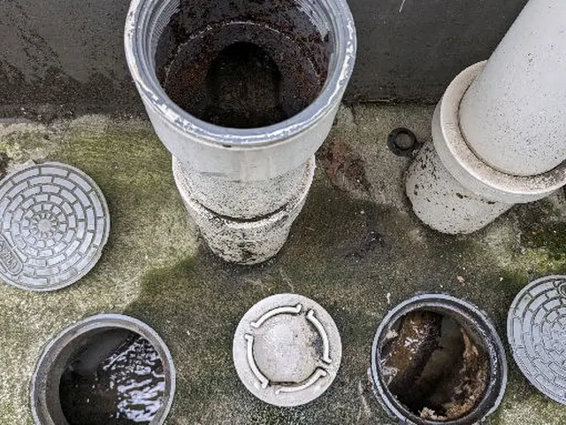 家庭内排水管内酵素洗浄(キッチン.洗面.浴室.洗濯配管内)サービスの画像