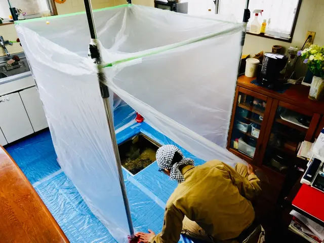 大切な家族と住まいを守る安心施工、小さなお子さまやご家族にも優しい薬剤使用サービスの画像