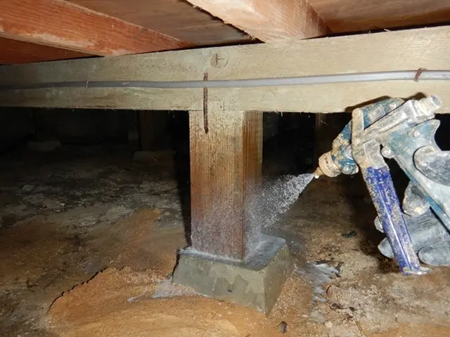 大切な家族と住まいを守る安心施工、小さなお子さまやご家族にも優しい薬剤使用サービスの画像