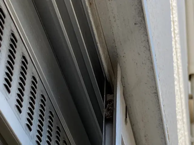 ◆岐阜市発◆便利屋本舗岐阜店年中無休・土日祝もご予約大歓迎！営業時間外も対応OKサービスの画像