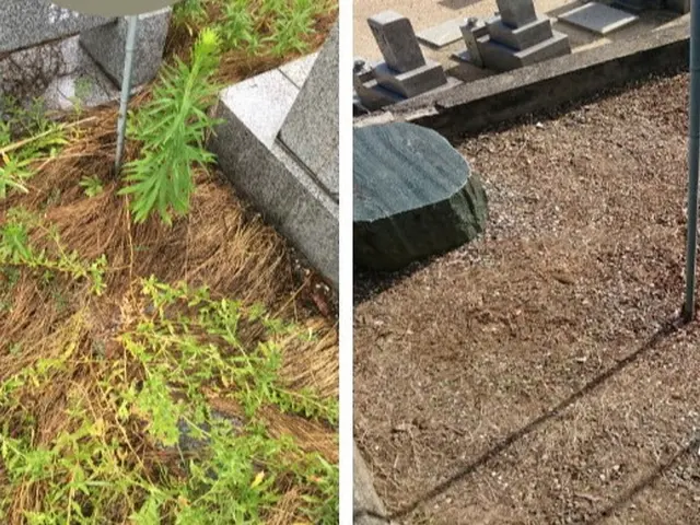 お墓参り代行サービスサービスの画像