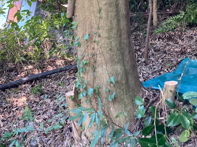 丁寧な作業を心掛けます。サービスの画像