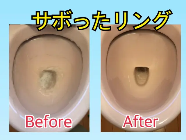 【トイレクリーニング】綺麗スッキリ運気UP。駐車場代無料。大手での経験ありサービスの画像