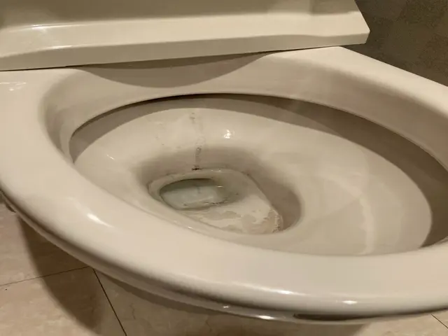 基本清掃＋ワシュレット取外し清掃・尿石除去・コーティング・換気扇表面等行います。サービスの画像