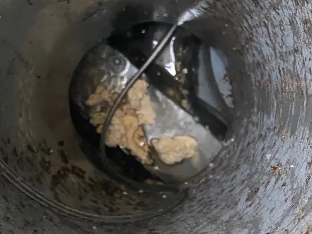 当日依頼も対応！迅速・丁寧に対応！損害保険加入済み◎強力洗浄機使用！サービスの画像