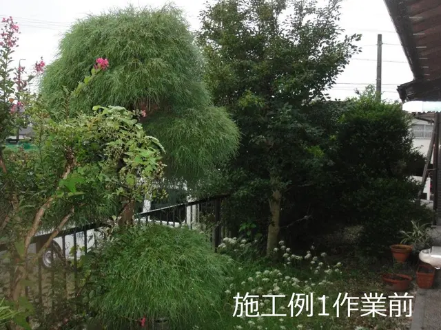 【大手造園会社での作業経験豊富】国家資格・造園施工管理技士の店長がお伺いします。サービスの画像