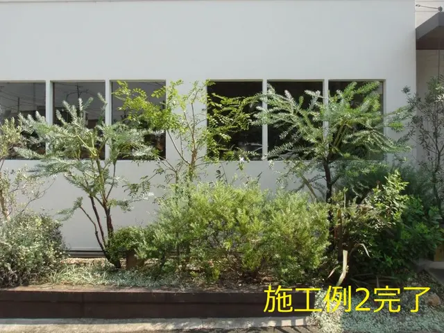 【大手造園会社での作業経験豊富】国家資格・造園施工管理技士の店長がお伺いします。サービスの画像