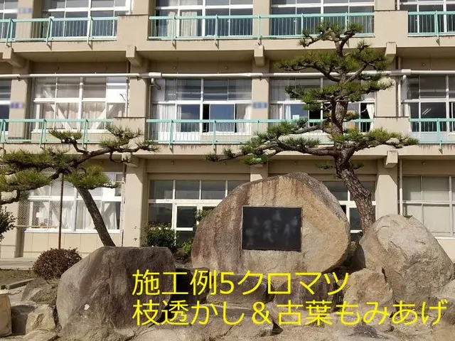 【大手造園会社での作業経験豊富】国家資格・造園施工管理技士の店長がお伺いします。サービスの画像