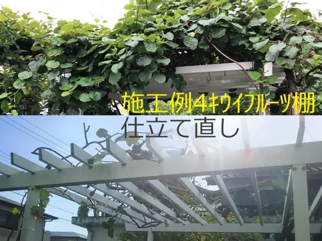 【大手造園会社での作業経験豊富】国家資格・造園施工管理技士の店長がお伺いします。サービスの画像
