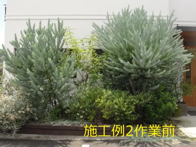 【大手造園会社での作業経験豊富】国家資格・造園施工管理技士の店長がお伺いします。サービスの画像