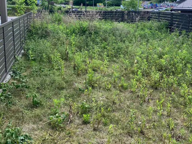 プロの技術でご満足いただけるように心を込めて作業いたしますサービスの画像