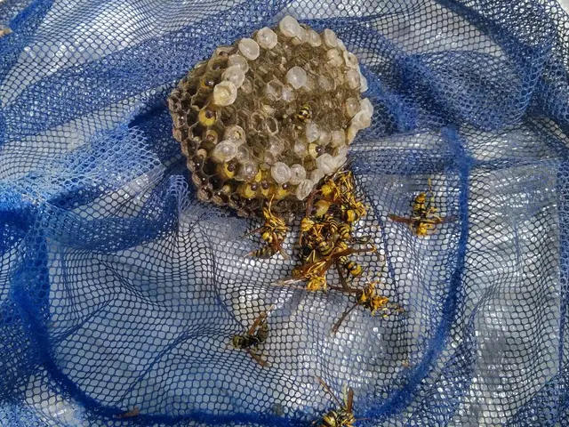 被害が出る前にお任せください！緊急対応！安心価格！地元のお店が安心！サービスの画像