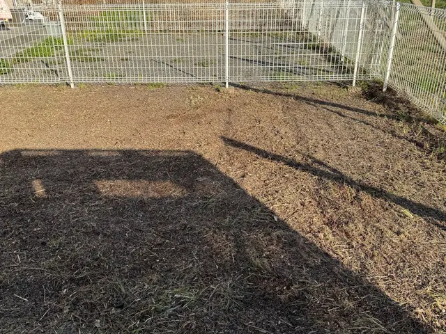 草刈取り手作業で行いますサービスの画像