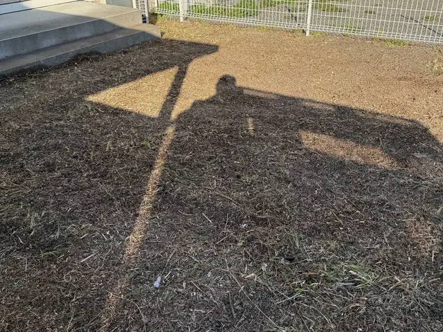 草刈取り手作業で行いますサービスの画像