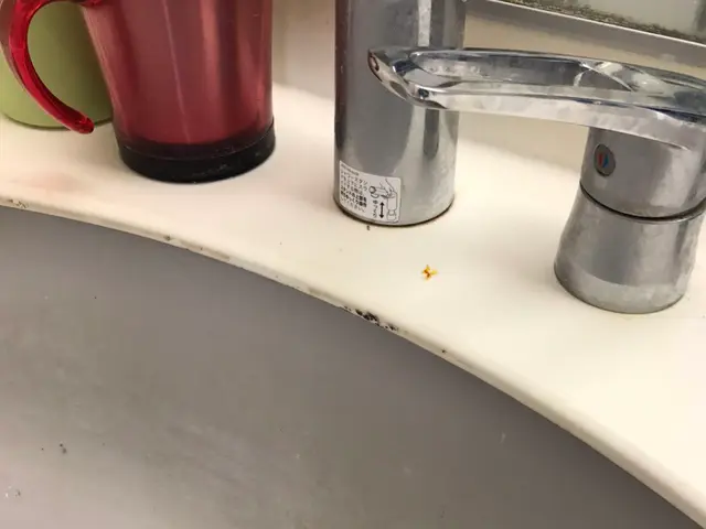 PayPay払い対応しました！お客様のご要望に迅速・丁寧にお応えいたします！サービスの画像