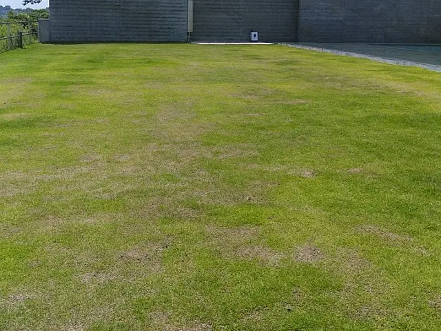 15年以上の実績と施工管理資格を持つ店長が必ず訪問！お客様に寄り添う安心の作業サービスの画像