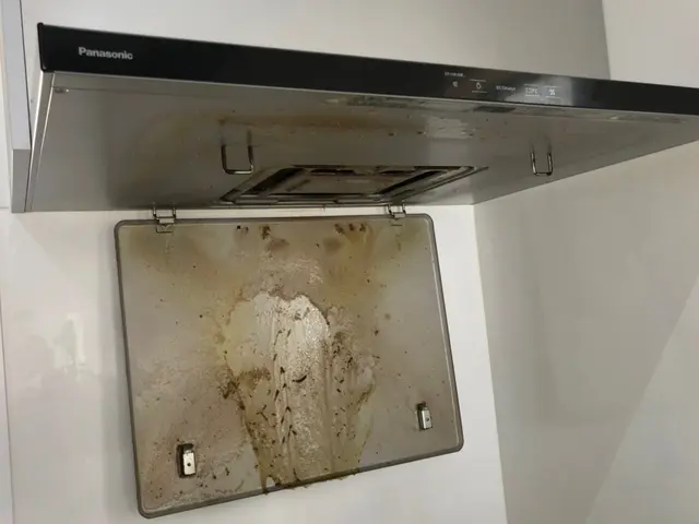 頑固な油汚れもお任せ下さい！◉損害保険加入済◉大手での作業経験あり！サービスの画像