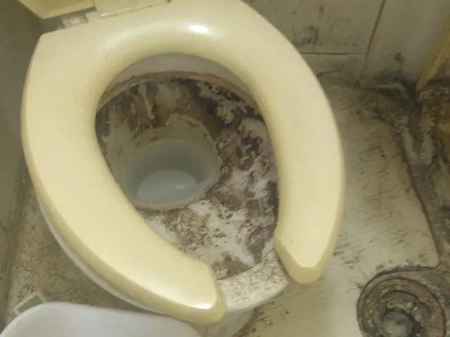 GW期間キャンペーン中★サービスの画像