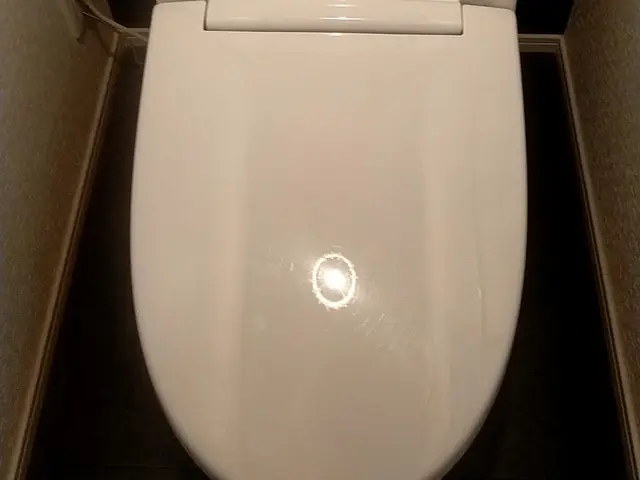 ☆年末価格提供☆予約殺到中☆サービスの画像