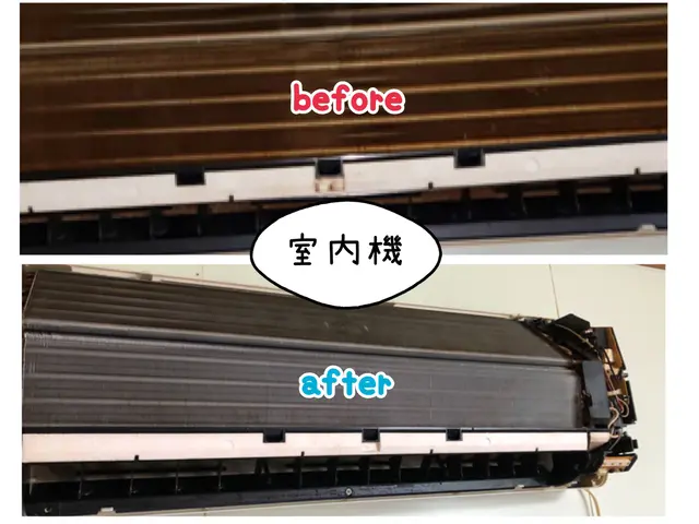 ◆消臭抗菌コートサービス中◆女性スタッフも同行で女性のお客様も安心！！サービスの画像