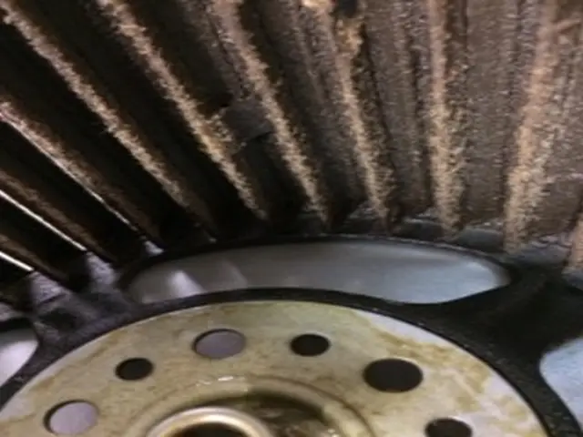 [女性スタッフが同行！] 任せて安心！細かい丁寧な作業が大好評！サービスの画像